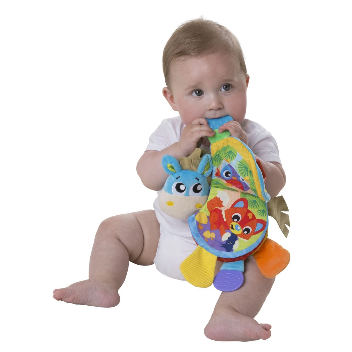 Playgro Musical Clip Clop Bijtboekje P0187552 8 Playgro Musical Clip Clop Bijtboekje P0187552 - Afbeelding 6