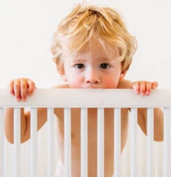 Prince Lionheart Crib Bed 3 Cm Randbeschermer Ledikant 9950 -Babyproducten Winkel 5207c 1