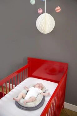 Babymoov Cosydream Smokey Steunkussen A050406 -Babyproducten Winkel 81hc dftjel. sl1500 1