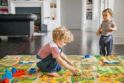 Prince Lionheart Playmat City/Zoo Opvouwbaar Speelkleed 7765 -Babyproducten Winkel 999999 049345002119 5 4