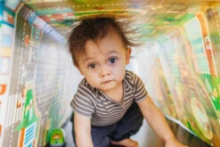 Prince Lionheart Playmat City/Zoo Opvouwbaar Speelkleed 7765 -Babyproducten Winkel 999999 049345002119 6 4