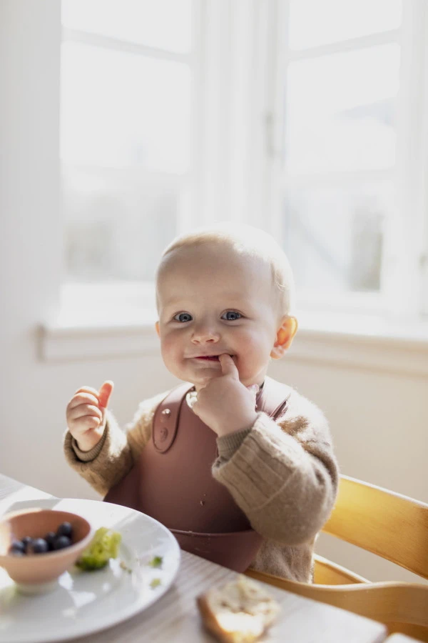 Bibs Overall Woodchuck Slab 4000247 4 Bibs Overall Woodchuck Slab 4000247 - Afbeelding 2