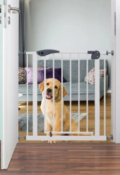 Babygo Safety Gate Black Traphek Klemhek 4052 18 Babygo Safety Gate Black Traphek Klemhek 4052 -Babyproducten Winkel babygo safety gate traphek klemhek 2 1