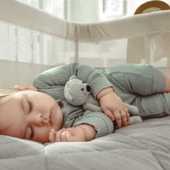 Babygo SideBySide Creme Wieg Aan Bed 4161 28 Babygo SideBySide Creme Wieg Aan Bed 4161 -Babyproducten Winkel babygo sidebyside creme wieg aan bed 4161 2