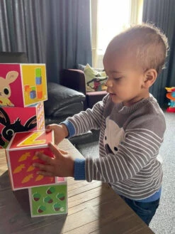 Bambolino Toys Bing Stapelkubussen 19073 14 Bambolino Toys Bing Stapelkubussen 19073 -Babyproducten Winkel bambolino toys bing stapelkubussen 19073 11