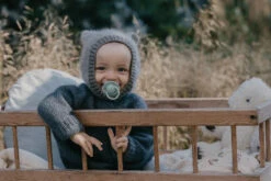 Bibs Try-it Sage 0-6 Mnd 4 Stuks Fopspenen 91343 -Babyproducten Winkel bibs de lux silicone fopspeen 2 3