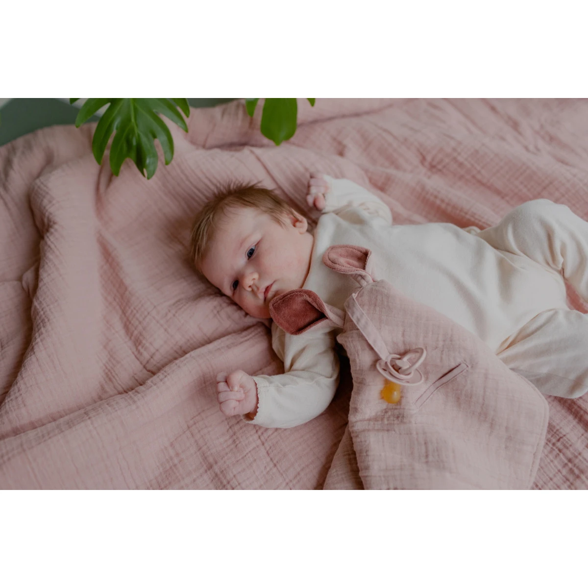 Bibs Kangaroo Blush Knuffeldoekje 9405244 4 Bibs Kangaroo Blush Knuffeldoekje 9405244 - Afbeelding 2