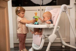 Bo Jungle B-Suction Toy Smart Owl Kinderstoel Speelgoed B910810 -Babyproducten Winkel bo jungle b suction toy smart owl kinderstoel speelgoed b910810 7