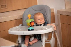 Bo Jungle B-Suction Toy Smart Owl Kinderstoel Speelgoed B910810 -Babyproducten Winkel bo jungle b suction toy smart owl kinderstoel speelgoed b910810 8