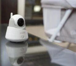 Cangaroo Focus Beeldbabyfoon 3,5 Inch 6578 21 Cangaroo Focus Beeldbabyfoon 3,5 Inch 6578 -Babyproducten Winkel cangaroo focus beeldbabyfoon 3 5 inch 6578