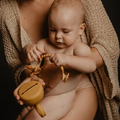 Suavinex Essence Mustard Silicone Speenhouder SXSEZ00081412 8 Suavinex Essence Mustard Silicone Speenhouder SXSEZ00081412 -Babyproducten Winkel colour essence soother case mango 3 3