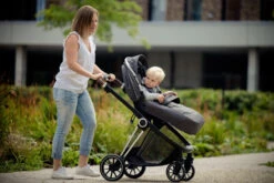 Ding Fenix Grey/Silver Kinderwagen DI-191703 -Babyproducten Winkel ding fenix grey silver kinderwagen