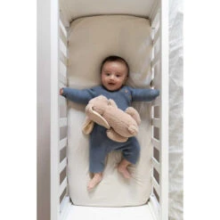 Doomoo Snoogy Biscuit Konijn Magnetronknuffel SY21 16 Doomoo Snoogy Biscuit Konijn Magnetronknuffel SY21 -Babyproducten Winkel doomoo snoogy biscuit konijn magnetronknuffel sy21 7