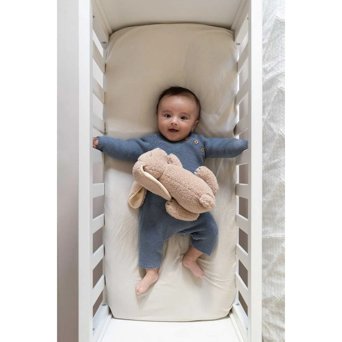 Doomoo Snoogy Biscuit Konijn Magnetronknuffel SY21 9 Doomoo Snoogy Biscuit Konijn Magnetronknuffel SY21 - Afbeelding 7