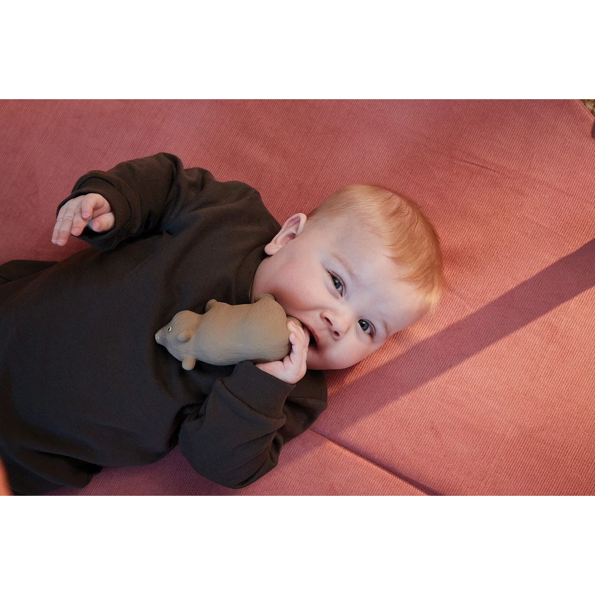 Filibabba Bertram The Bear Natuurrubber Bijtspeeltje FILI-BERTRTEETH_1_02214 7 Filibabba Bertram The Bear Natuurrubber Bijtspeeltje FILI-BERTRTEETH_1_02214 - Afbeelding 5