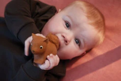 Filibabba Sonja The Squirrel Natuurrubber Bijtspeeltje FILI-SONJATEETH_1_02213 -Babyproducten Winkel filibabba sonja the squirrel natuurrubber bijtspeeltje fili sonjateeth 1 02213 6