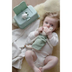 FunkyBox Mint Leave FB60 12 FunkyBox Mint Leave FB60 -Babyproducten Winkel funkybox mint leave fb60 .sfeer3