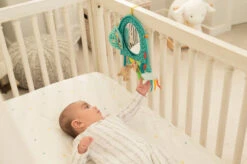 Infantino Elephant Autospiegel BK-316313 -Babyproducten Winkel infantino elephant autospiegel bk 316313 2