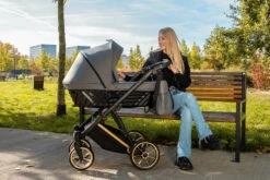 Kunert Ivento Premium Gold Deep Black 2-in-1 Kinderwagen IVE-12-GOLD 36 Kunert Ivento Premium Gold Deep Black 2-in-1 Kinderwagen IVE-12-GOLD -Babyproducten Winkel kunert ivento premium gold caramel macchiato 2 in 1 kinderwagen ive 10 gold 7