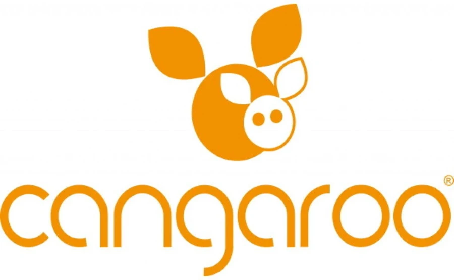 Cangaroo Explorer Black Ergonomische Draagzak 7124 4 Cangaroo Explorer Black Ergonomische Draagzak 7124 - Afbeelding 2