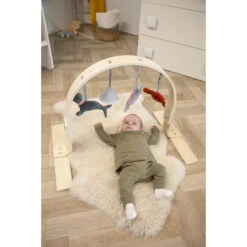 Tryco Houten Babygym TR-303011 -Babyproducten Winkel mamaloes tryco babygym 03 1