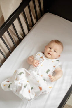 Blush & Blossom Dinosaurus 70 Cm Hydrofiel Slaapzak TR-BB443423 -Babyproducten Winkel tr bb443423 blush blossom dinosaurus 70 cm 01 1