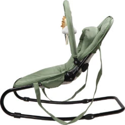 Tryco Lion Leo Groen Wipstoel TR-272703 -Babyproducten Winkel tryco lion leo green wipstoel tr 272703 3