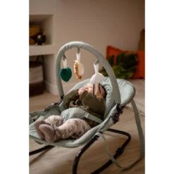 Tryco Lion Leo Groen Wipstoel TR-272703 -Babyproducten Winkel tryco lion leo groen wipstoel tr 272703 sfeer1
