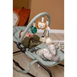 Tryco Lion Leo Groen Wipstoel TR-272703 -Babyproducten Winkel tryco lion leo groen wipstoel tr 272703 sfeer2