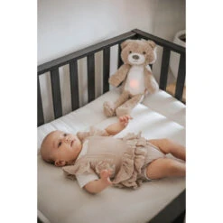 Zazu Brody De Beer Taupe Slaaptrainer ZA-BRODY-01 -Babyproducten Winkel zazu brody sfeer 2 2