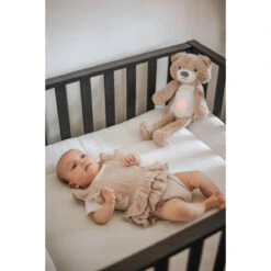 Zazu Brody De Beer Taupe Slaaptrainer ZA-BRODY-01 -Babyproducten Winkel zazu brody sfeer 3 2