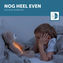 Zazu Brody De Beer Taupe Slaaptrainer ZA-BRODY-01 -Babyproducten Winkel zazu brody de beer taupe slaaptrainer sfeer 7